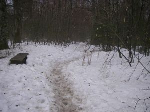 Nieve en el Camino. Se debía vigilar para no resbalar