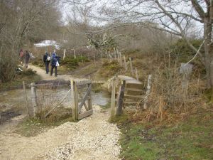 De Roncesvalles a Larrasoaña