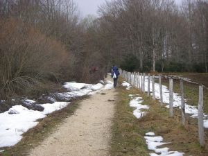 De Roncesvalles a Larrasoaña