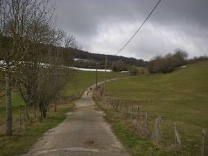 De Roncesvalles a Larrasoaña