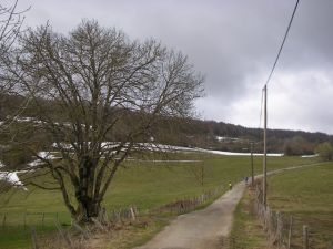 De Roncesvalles a Larrasoaña