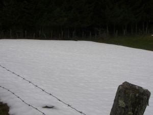 Nieve constante en el Camino