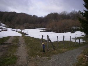De Roncesvalles a Larrasoaña