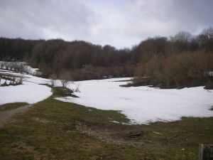 De Roncesvalles a Larrasoaña