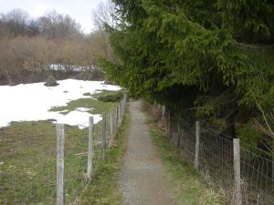 Buena parte de esta etapa y la del día siguiente transcurre por sendas en los interiores de fincas o bosques. 