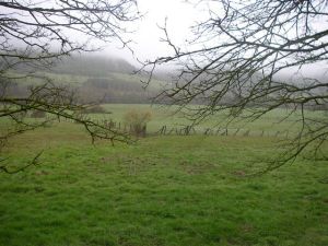 Camino a Trinidad de Arre