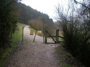 Camino a Trinidad de Arre