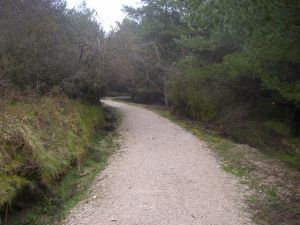Camino a Trinidad de Arre