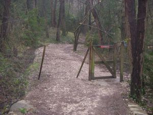 Camino a Trinidad de Arre