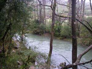 Camino a Trinidad de Arre