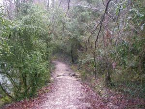 Camino a Trinidad de Arre
