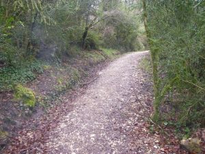 Camino a Trinidad de Arre