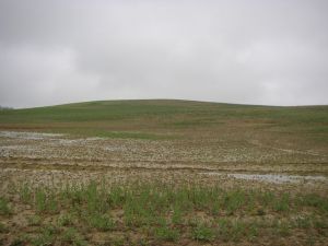 Camino al Monte del Perdón