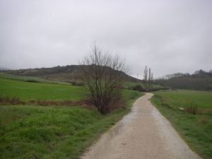 Camino al Monte del Perdón