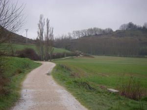 Camino al Monte del Perdón