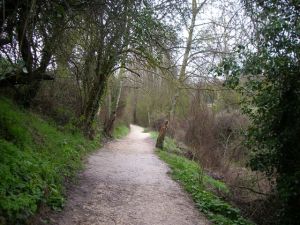 Camino al Monte del Perdón