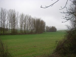 Camino al Monte del Perdón