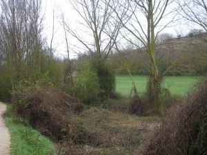Camino al Monte del Perdón