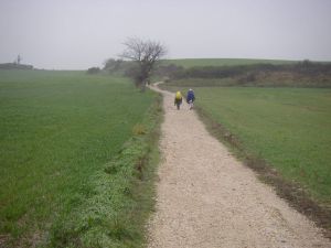 Camino al Monte del Perdón