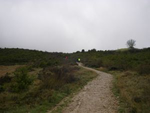 Camino al Monte del Perdón