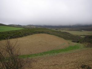 Camino al Monte del Perdón