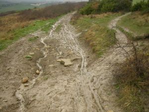 Camino al Monte del Perdón