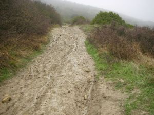 Camino al Monte del Perdón