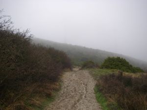 Camino al Monte del Perdón