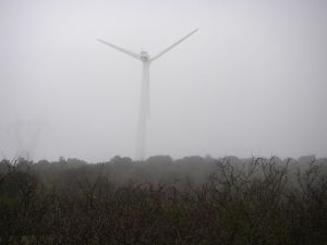 Camino al Monte del Perdón