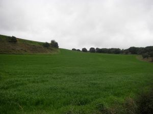 Desceno del Monte del Perdón