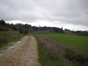 Camino a Eunate y Obanos