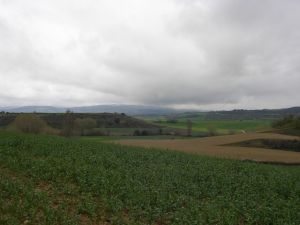 Camino a Eunate y Obanos
