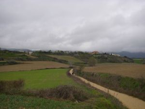 Camino a Eunate y Obanos
