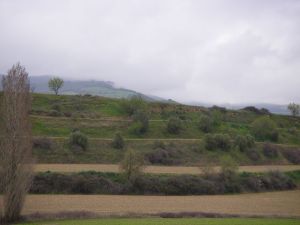 Camino a Eunate y Obanos