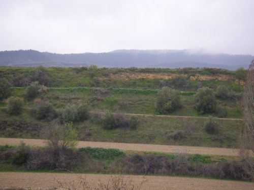 Camino a Eunate y Obanos