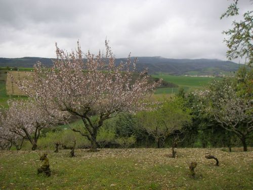 Camino a Eunate y Obanos