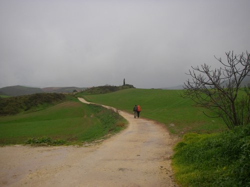 Camino a Estella