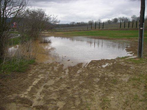 Camino a Villatuerta