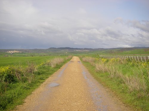 Camino a Sansol y Torres del Río
