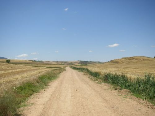 Camino a Santo Domingo de la Calzada 