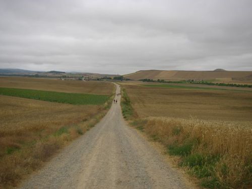 Camino de Santo Domingo de la Calzada a Belorado