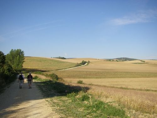 Camino de Belorado a San Juan de Ortega