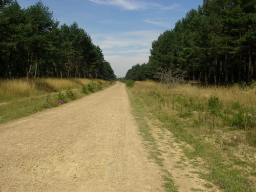 Ascenso Montes de Oca