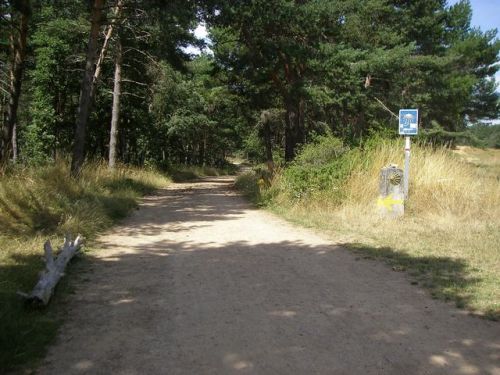 Ascenso Montes de Oca