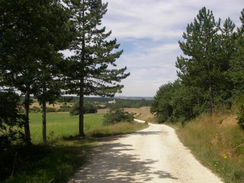 Vista San Juan de Ortega