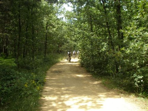Camino de San Juan de Ortega a Agés