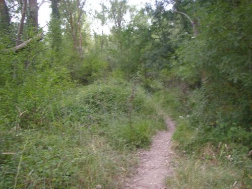 -Burgos. Entrada a Burgos. 