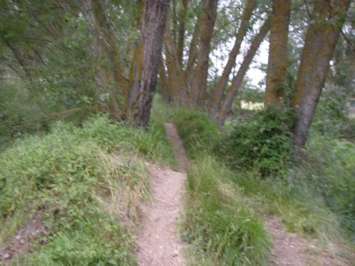 -Burgos. Entrada a Burgos. 