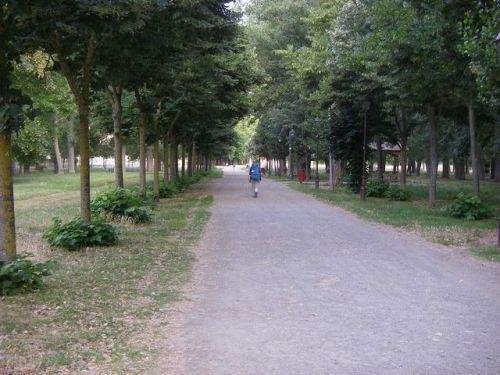 Camino Burgos a Hontanas