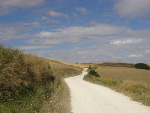 Camino Burgos a Hontanas